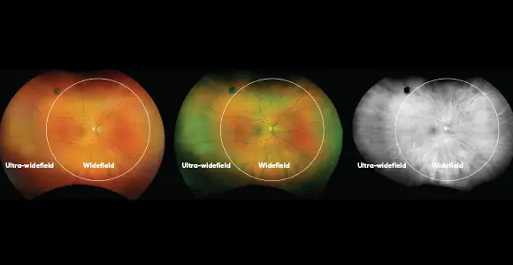 clical paper thumbnail image