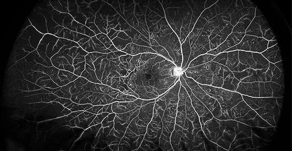 clical paper thumbnail image