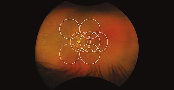 clical paper thumbnail image