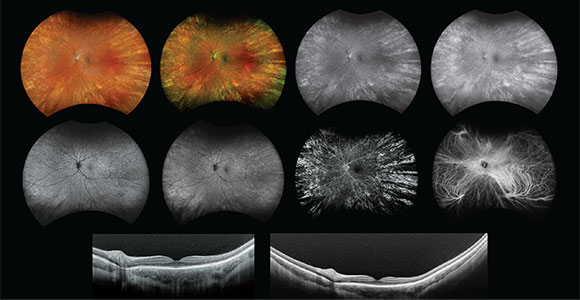 clical paper thumbnail image