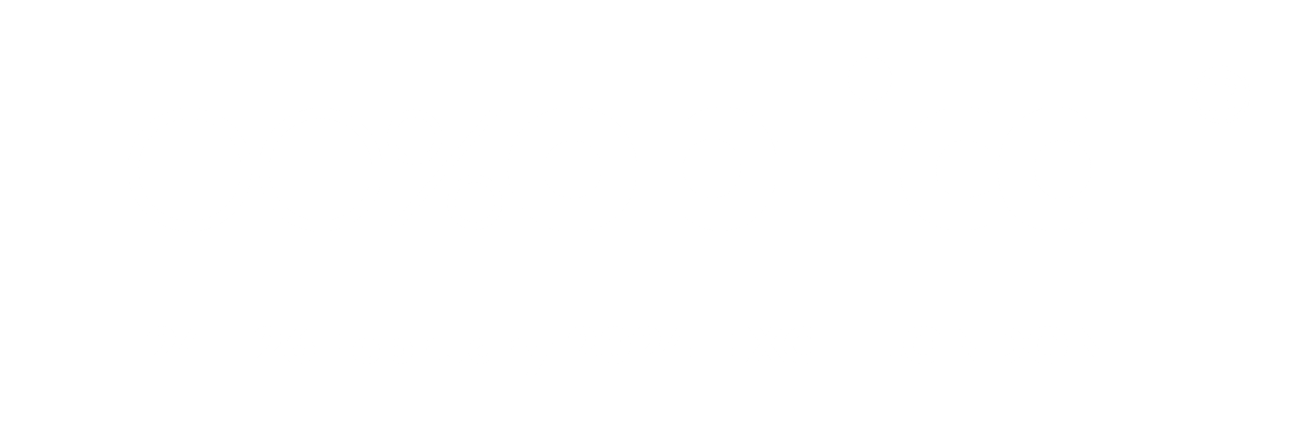 <p>2024 100% Optical</p>