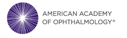 <p>2023 AAO Ophthalmology</p>