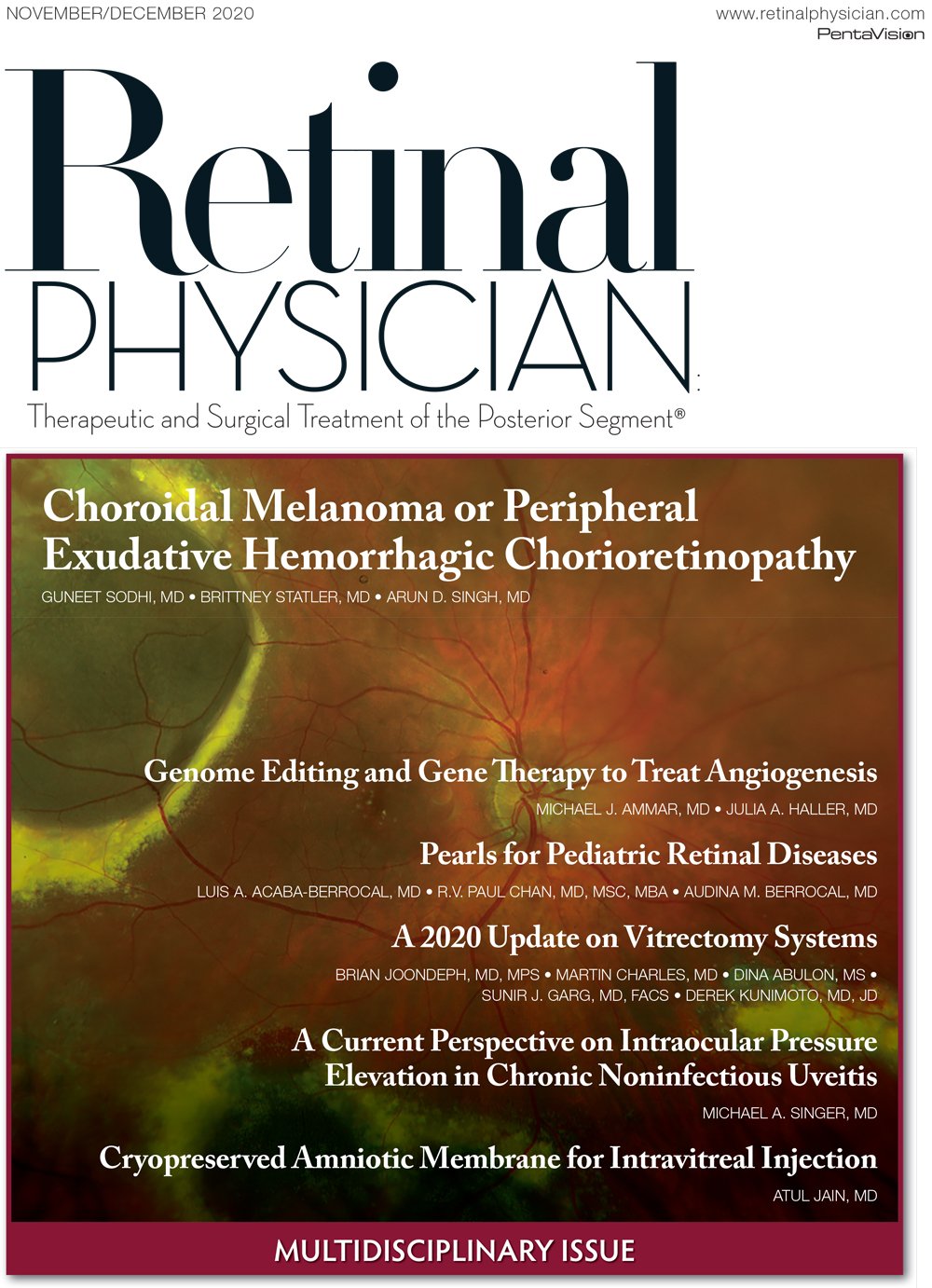 Retinal Physician November/December 2020 image