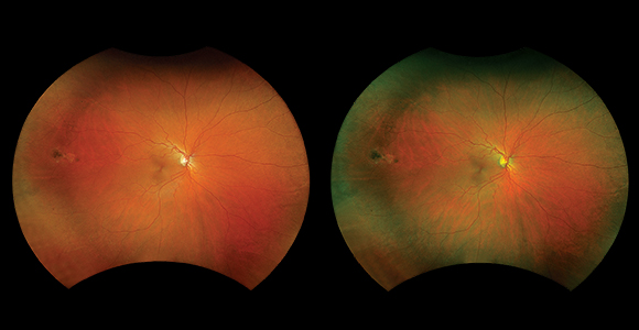 clical paper thumbnail image