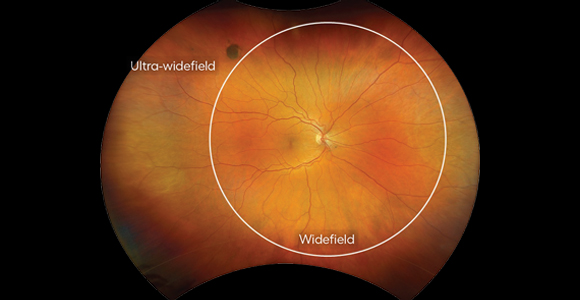 clical paper thumbnail image