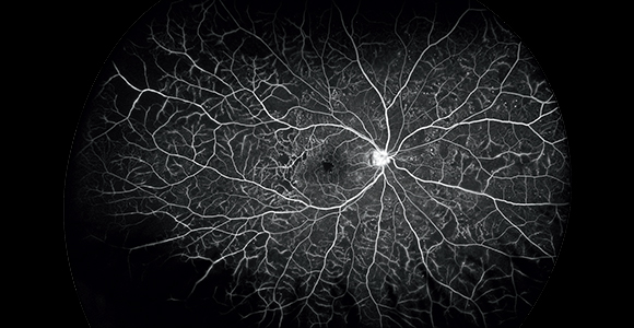 clical paper thumbnail image